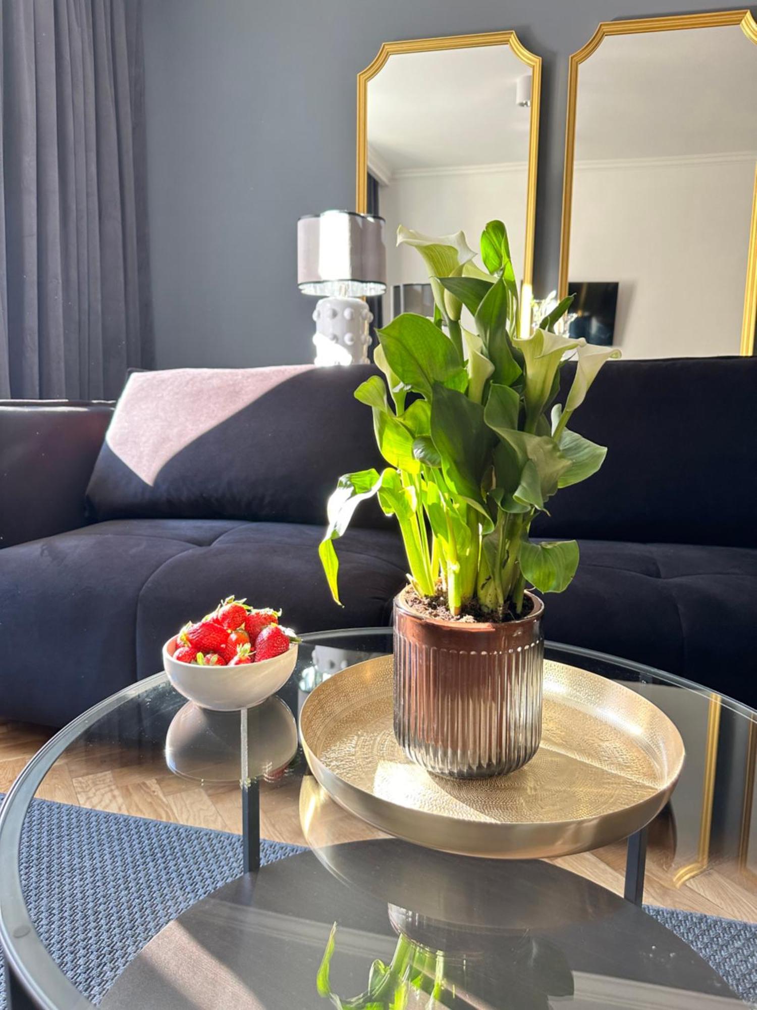 Main Square Apartments Sylvi Kraków Zewnętrze zdjęcie